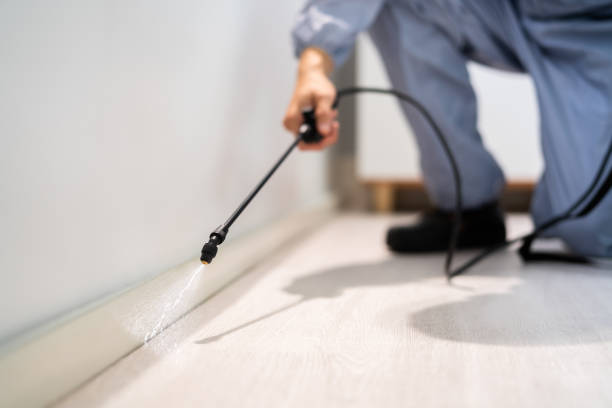 Licensed Cockroach Control service in Lake Barrington, IL - Nex Pest Control