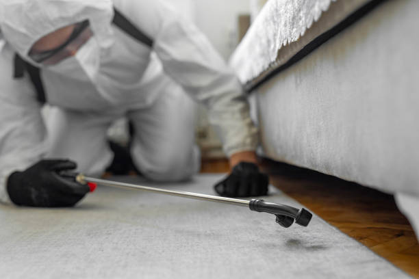 Professional Cockroach Control technician working in Lake Barrington, IL
