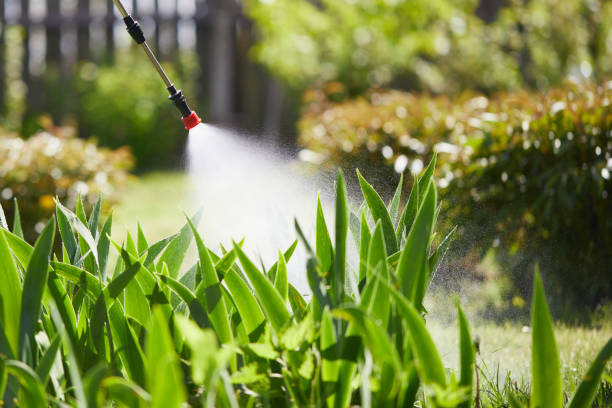 24/7 Emergency Cockroach Control experts in Lake Barrington, IL